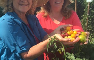 Looking at Patty's tomatoes
